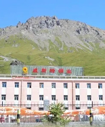 众升科技系统轻载补偿装置--助力青海威斯特铜业有限责任公司，高效用电、改善电能质量！
